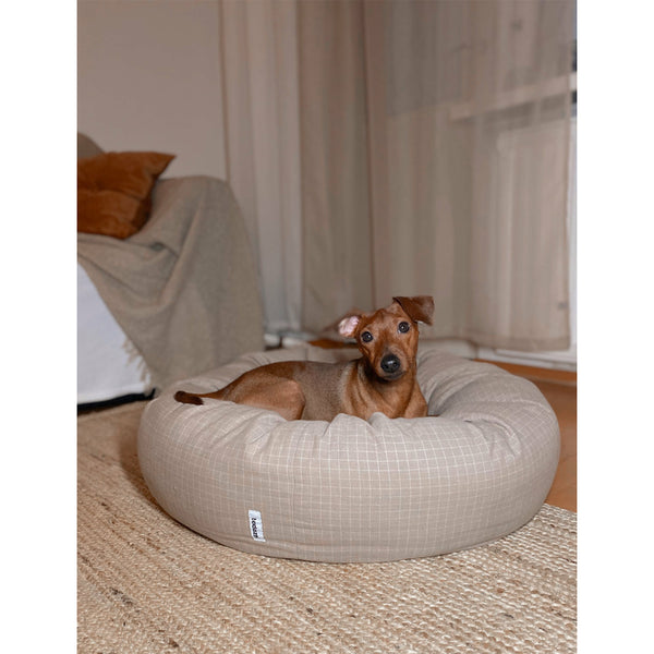 cute dog in donut dog bed in timeless design