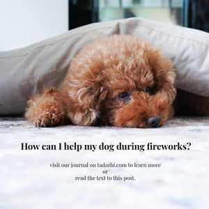 How can I help my dog during fireworks?