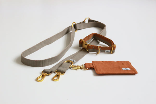 dog leash, dog collar and poop bag holder in autumn colors Light brown and dark sand.