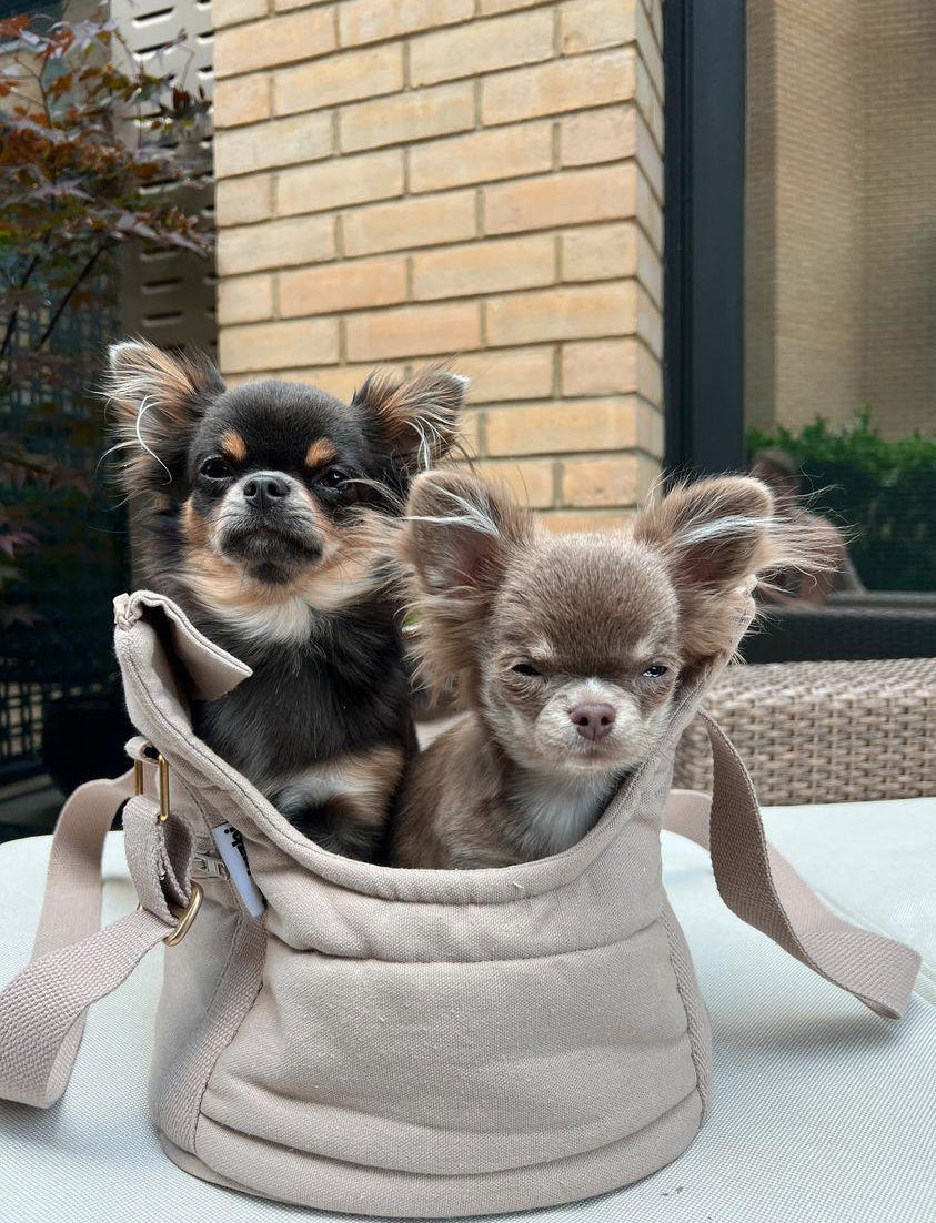 Dog Purse Chihuahua Bag Carrier RIO Dog Bag Carrier Dark Sand Is A