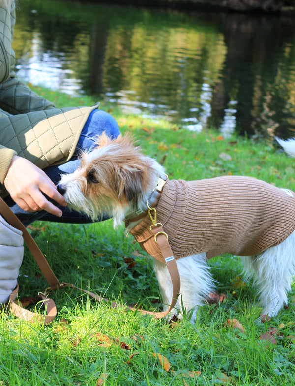 Wool dogsweater Unisex Beige