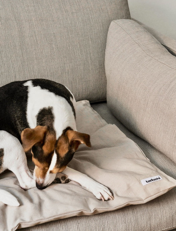 Duvet dog blanket Sand