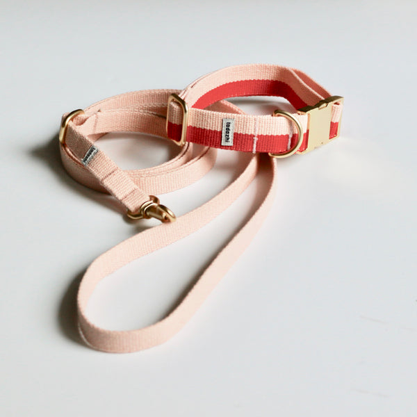 Collar & Leash set Power Warm red - Archive sale