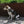 Luna step-in Harness Green Sand
