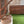 Dog food bowl Gray brown
