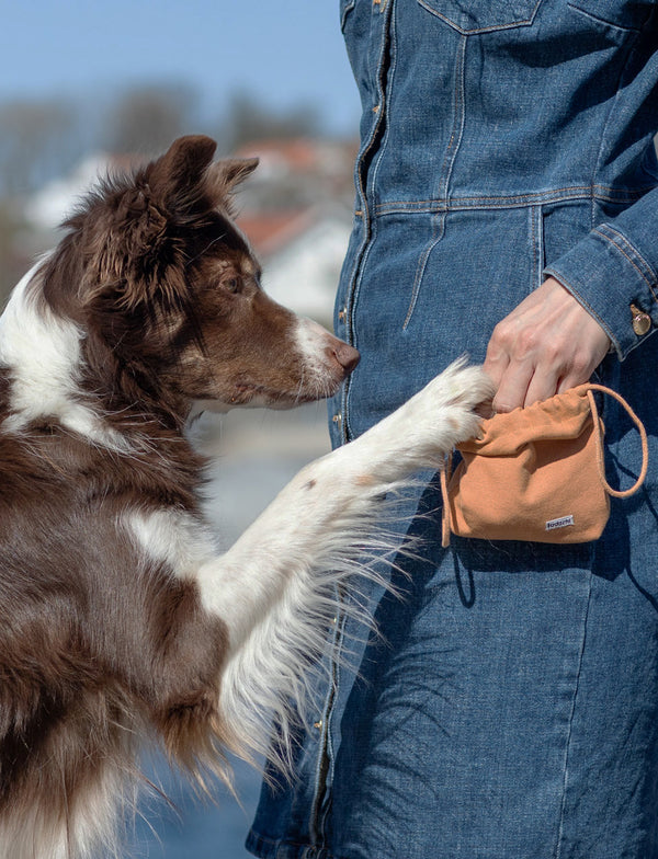 Dog Treat bag Light brown