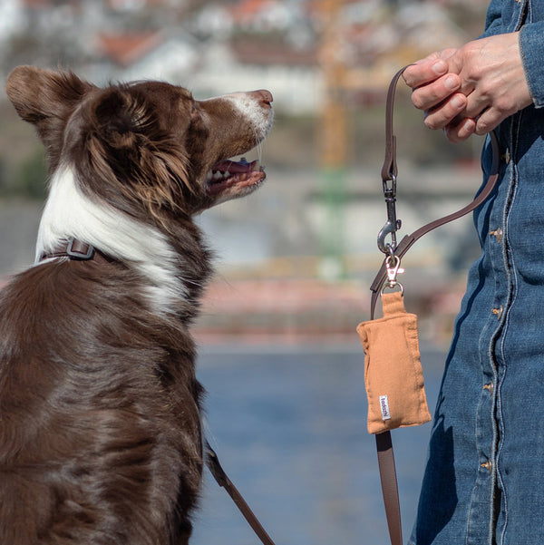 Dog waste bag holder Light brown