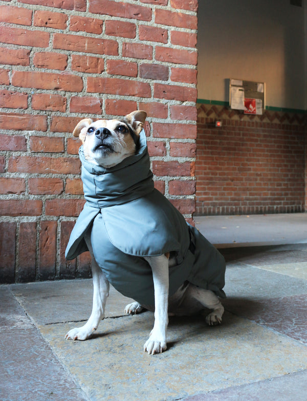Winter Jacket Green