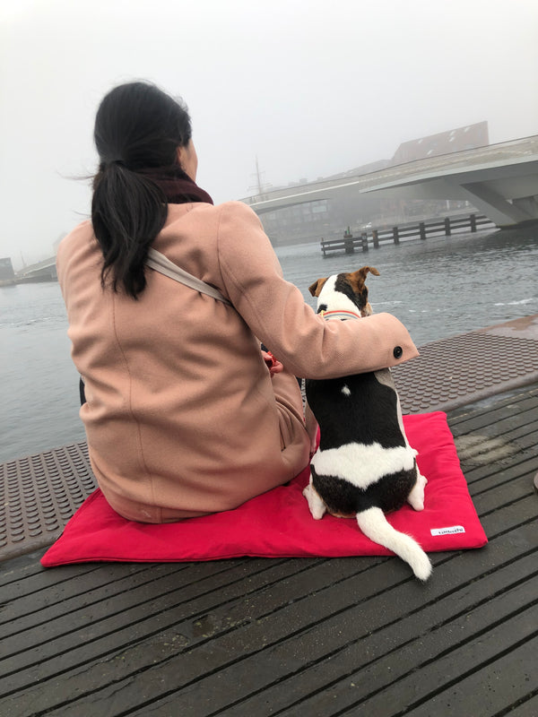 Duvet dog blanket Warm Red