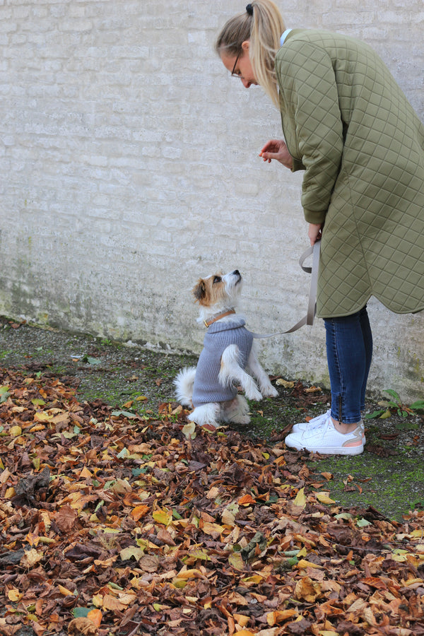 Female Wool dog sweater Grey