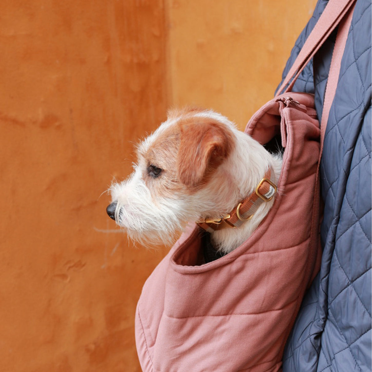 Robust Rio Dog RIO Dog Carrier Bag Rose – Organic & Water-Repellent | tadazhi