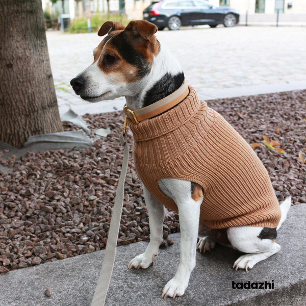 Wool dogsweater Unisex Beige