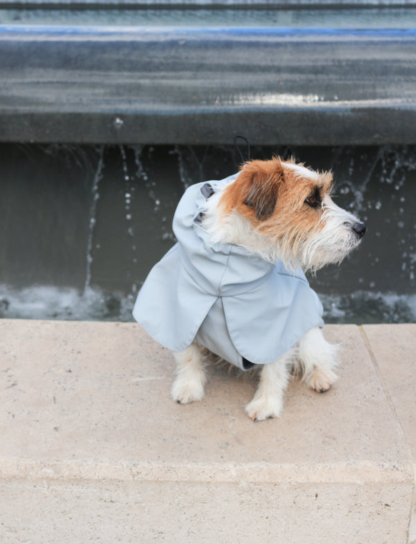 Raincoat Light grey