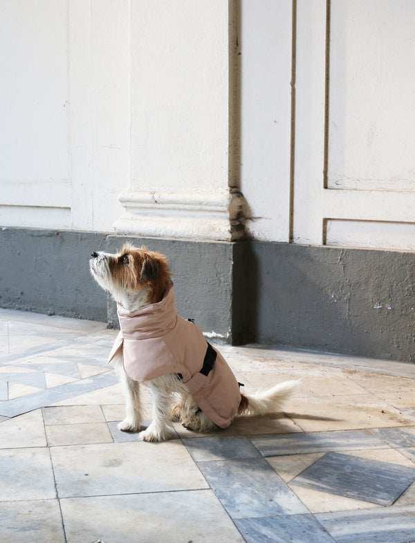 Winter Jacket Rose