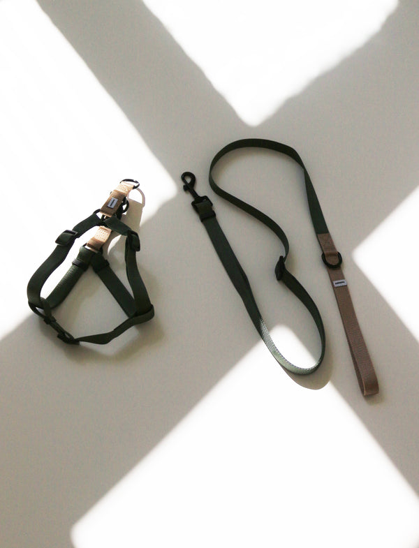 Luna Harness & Leash Set PRE-ORDER + PALA food Gift