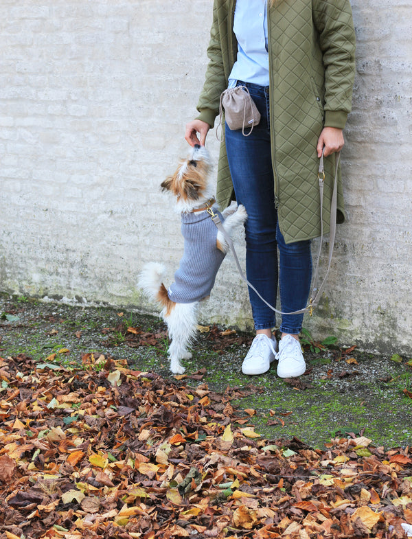 Female Wool dog sweater Grey