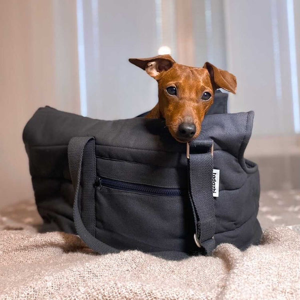 classic dog bag carrier with a dachshund inside