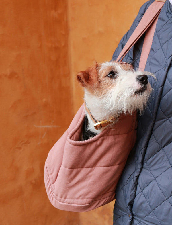 aesthetic dog bag carrier with a jack russell inside
