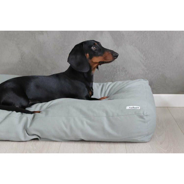 beautiful design dog cushion with a dachshund on it