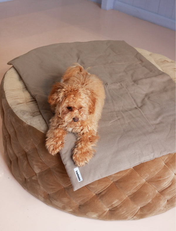elegant design dog blanket with a maltipoo dog on it