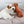 Load image into Gallery viewer, jack russell terrier playing on a timeless dog cushion
