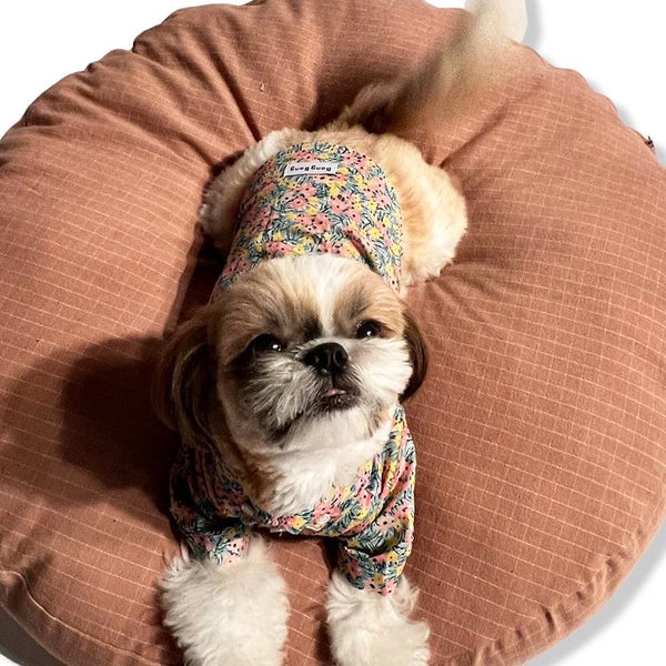 aesthetic round dog bed with a havanese dog resting on it