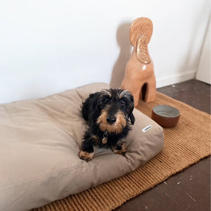 dog cushion in organic cotton with a dachshund on it