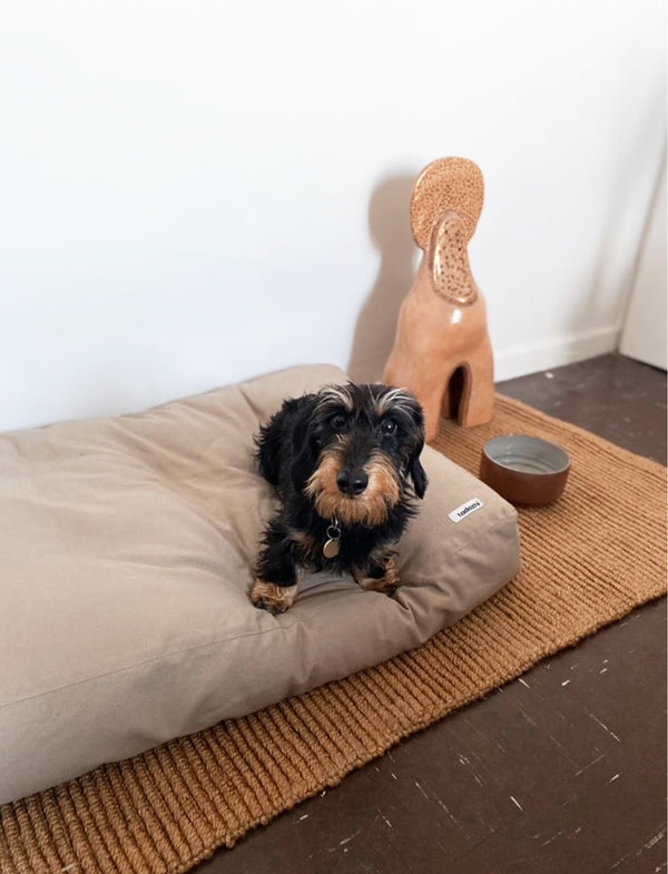 dog cushion in organic cotton with a dachshund on it