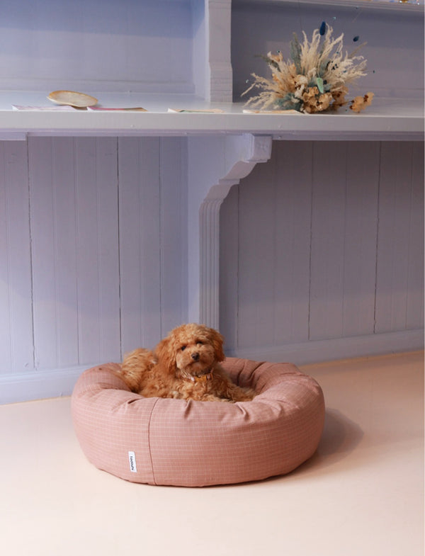 maltipoo resting in an aesthetic donut dog bed