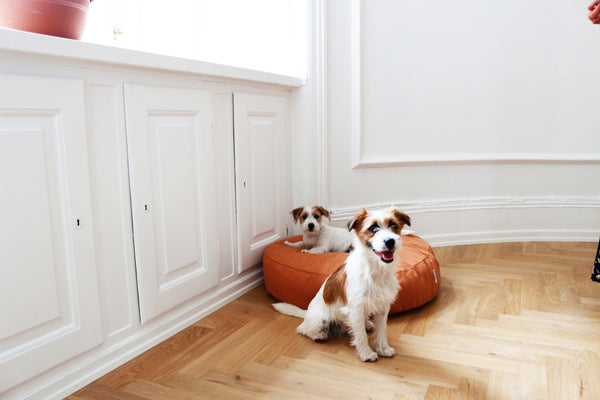 stylish round dog cushion with two jack russell terriers