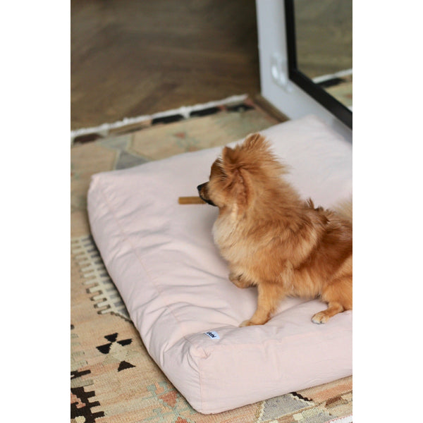 calming dog cushion in aesthetic design with a pomeranian on it