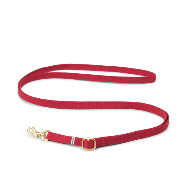 My red dog leash